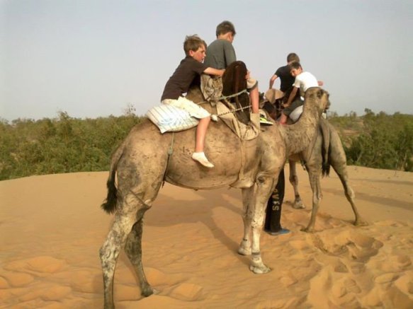 3263835864_2_3_AQlDx3Qm