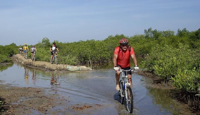 Ils degyeye Casamance 1