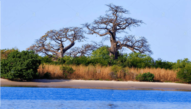 Ils Saloum Saloum-1.PNG