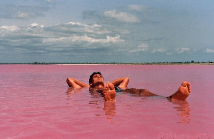 lac rose-8.PNG